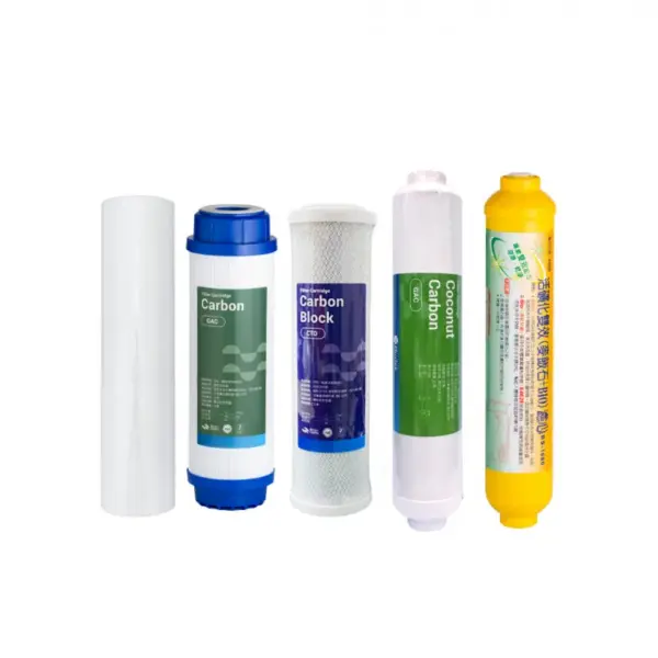 10吋 年份濾芯套組(5入)