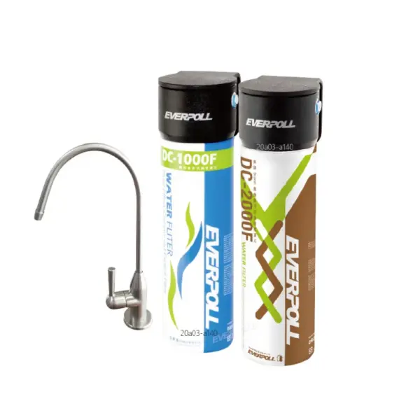 EVERPOLL愛科濾淨-公司貨-雙道全效過濾器(DCP-3000)