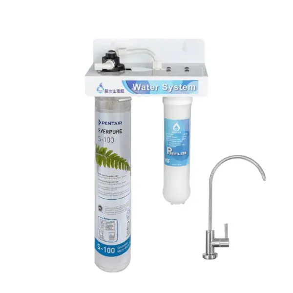EVERPURE愛惠浦 S-100兩道過濾組(美國進口濾芯)