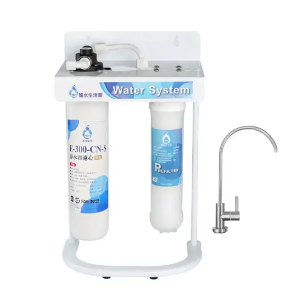 日本GE300-CNS-GE兩道過濾組