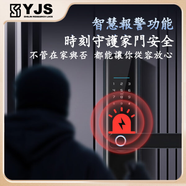 YJS Z1+